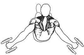 Новая энциклопедия бодибилдинга. Кн.3. Упражнения - _06.jpg