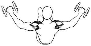 Новая энциклопедия бодибилдинга. Кн.3. Упражнения - _07.jpg