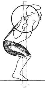 Новая энциклопедия бодибилдинга. Кн.3. Упражнения - _44.jpg