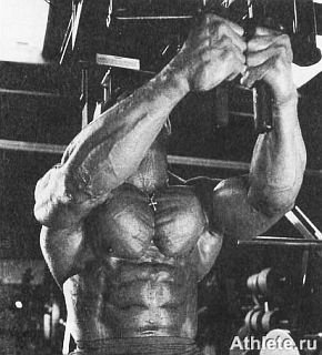 Новая энциклопедия бодибилдинга. Кн.3. Упражнения - _126.jpg