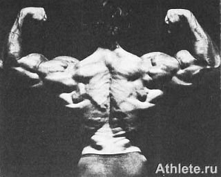 Новая энциклопедия бодибилдинга. Кн.3. Упражнения - _138.jpg