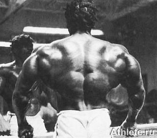 Новая энциклопедия бодибилдинга. Кн.3. Упражнения - _146.jpg