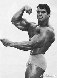 Новая энциклопедия бодибилдинга. Кн.3. Упражнения - _206.jpg