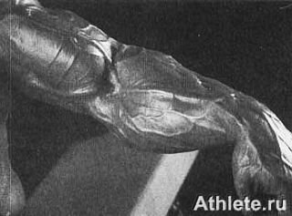 Новая энциклопедия бодибилдинга. Кн.3. Упражнения - _252.jpg