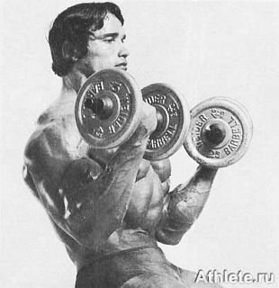 Новая энциклопедия бодибилдинга. Кн.3. Упражнения - _277.jpg