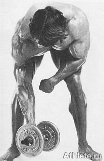 Новая энциклопедия бодибилдинга. Кн.3. Упражнения - _283.jpg