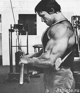 Новая энциклопедия бодибилдинга. Кн.3. Упражнения - _299.jpg