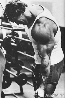 Новая энциклопедия бодибилдинга. Кн.3. Упражнения - _305.jpg