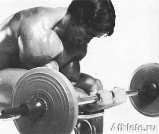 Новая энциклопедия бодибилдинга. Кн.3. Упражнения - _329.jpg