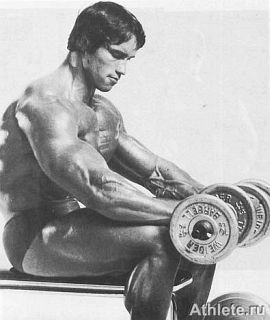 Новая энциклопедия бодибилдинга. Кн.3. Упражнения - _338.jpg