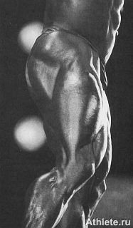 Новая энциклопедия бодибилдинга. Кн.3. Упражнения - _357.jpg