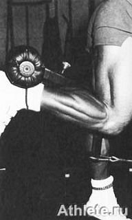 Новая энциклопедия бодибилдинга. Кн.3. Упражнения - _393.jpg