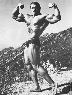 Новая энциклопедия бодибилдинга. Кн.4 Соревнования - _64.jpg