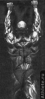 Новая энциклопедия бодибилдинга. Кн.4 Соревнования - _72.jpg