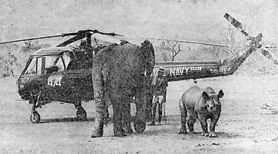 Сироты Цаво - shel0136.jpg