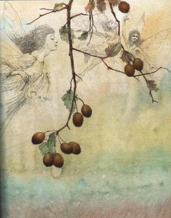 Питер Пэн и Венди - i_018.jpg