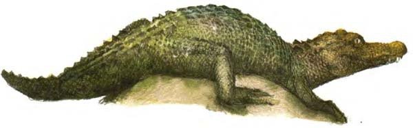 Питер Пэн и Венди - i_039.jpg