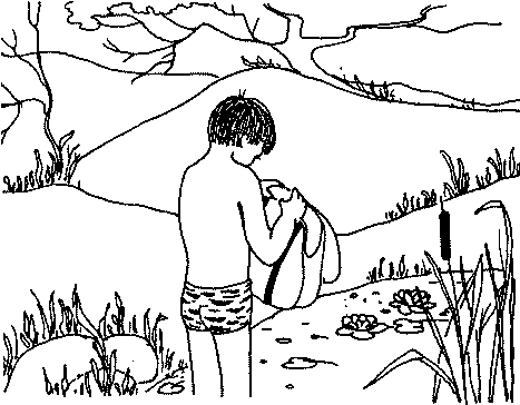 Автостоп - img_13.png