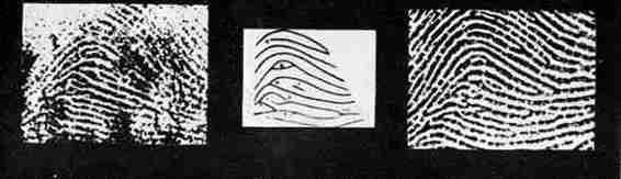 Сто лет криминалистики - i_016.jpg