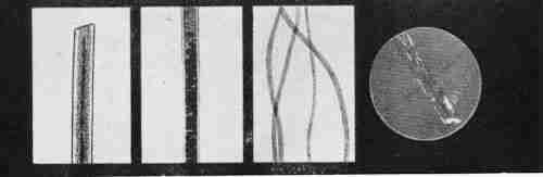 Сто лет криминалистики - i_035.jpg