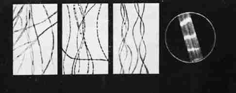 Сто лет криминалистики - i_036.jpg