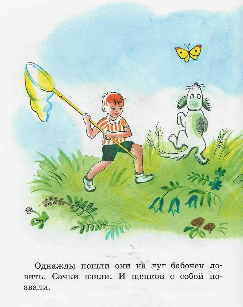 Бабочка - doc2fb_image_02000004.jpg