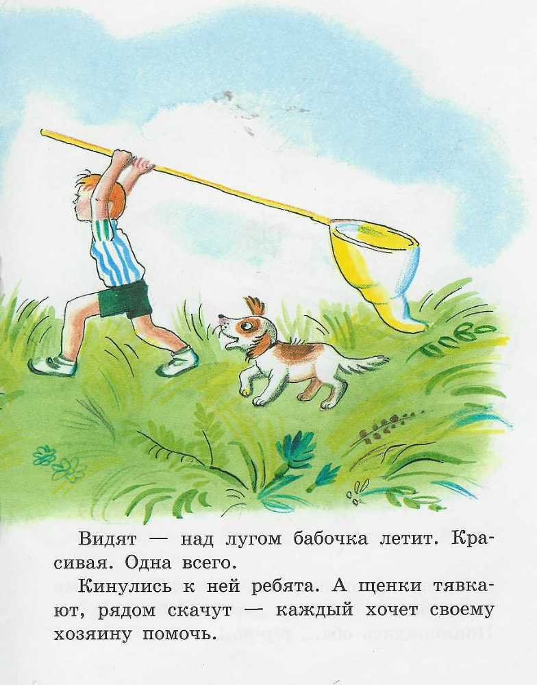 Бабочка - doc2fb_image_02000005.jpg