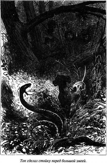 Таинственный остров - i_041.jpg