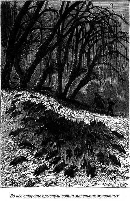 Таинственный остров - i_049.jpg