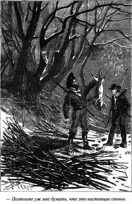 Таинственный остров - i_053.jpg