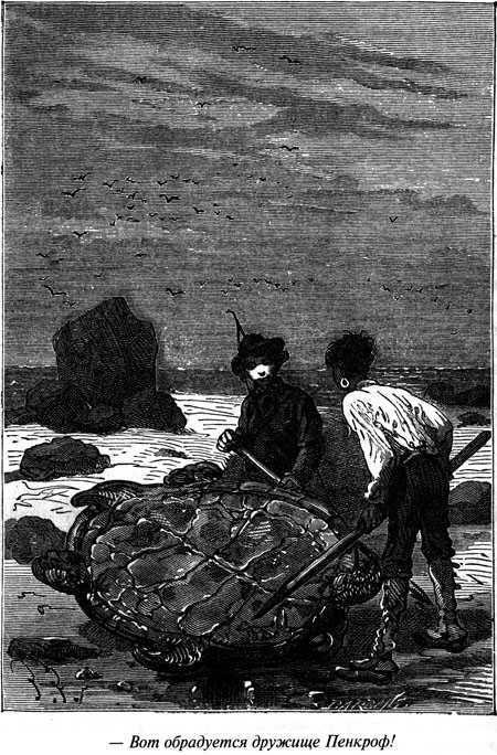 Таинственный остров - i_056.jpg