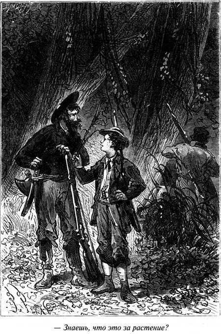 Таинственный остров - i_060.jpg