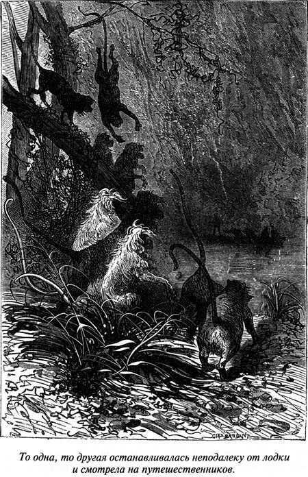 Таинственный остров - i_062.jpg