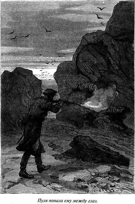 Таинственный остров - i_064.jpg