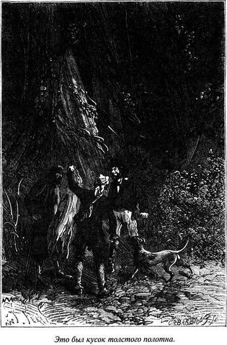 Таинственный остров - i_065.jpg