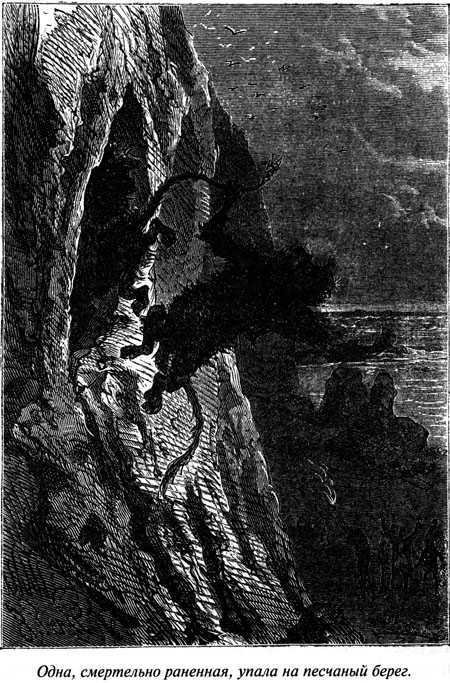 Таинственный остров - i_068.jpg