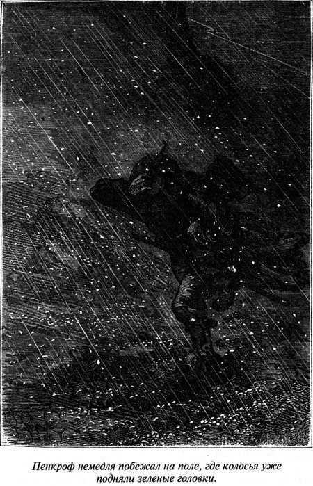 Таинственный остров - i_075.jpg