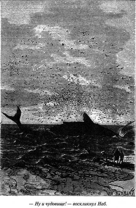 Таинственный остров - i_079.jpg