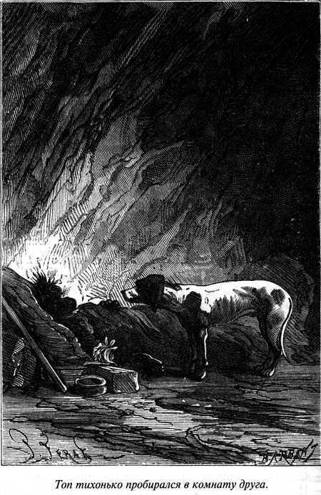 Таинственный остров - i_084.jpg