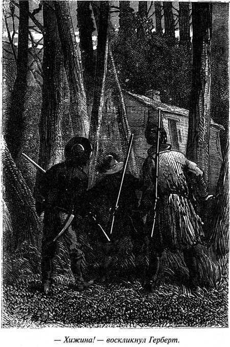 Таинственный остров - i_089.jpg