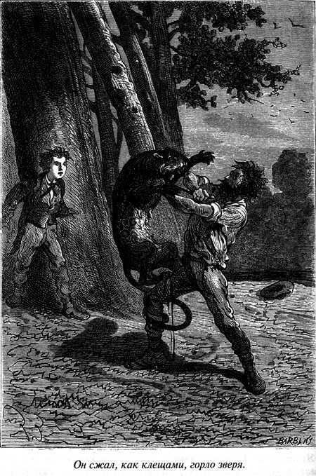 Таинственный остров - i_096.jpg