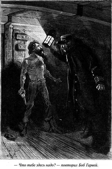 Таинственный остров - i_110.jpg