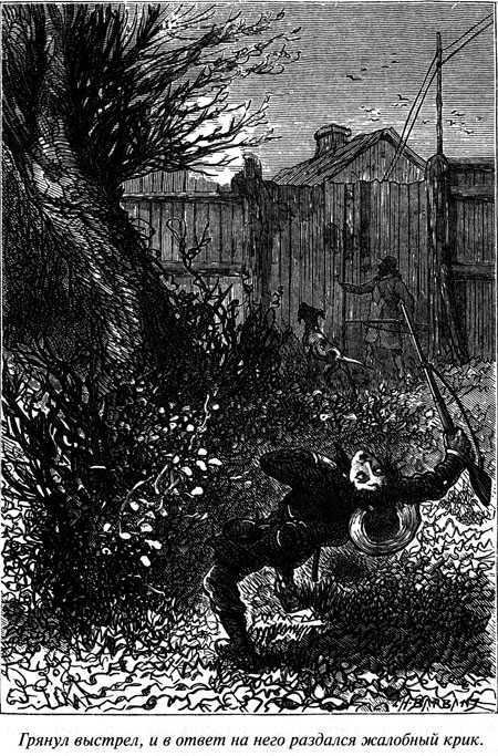 Таинственный остров - i_121.jpg