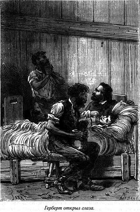 Таинственный остров - i_122.jpg