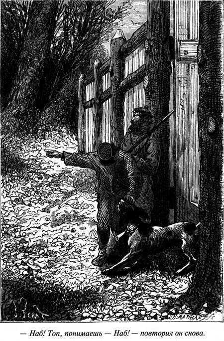 Таинственный остров - i_123.jpg