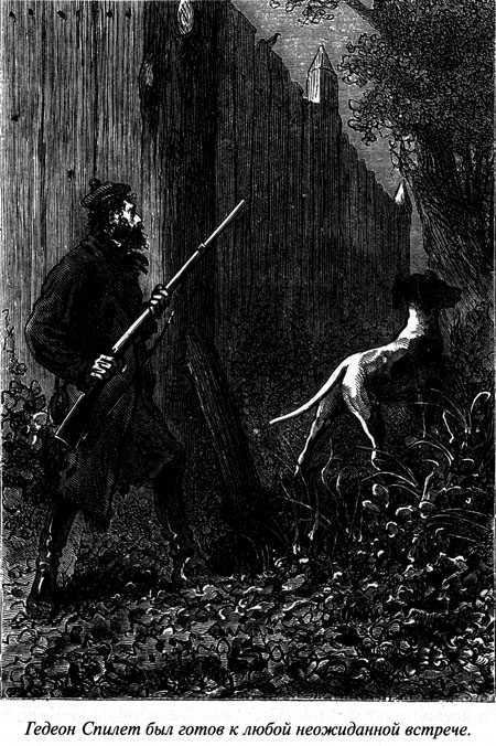 Таинственный остров - i_125.jpg