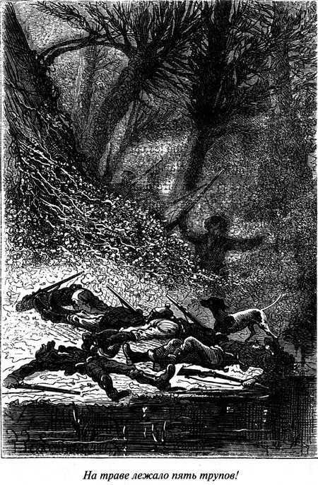 Таинственный остров - i_134.jpg