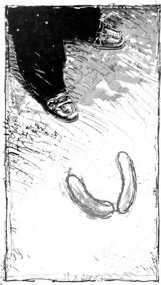 Ночь белых вампиров - i_013.jpg