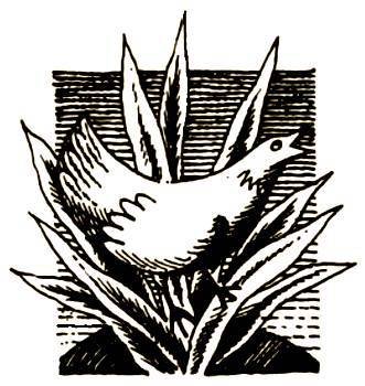 Нечистая сила - _4.jpg