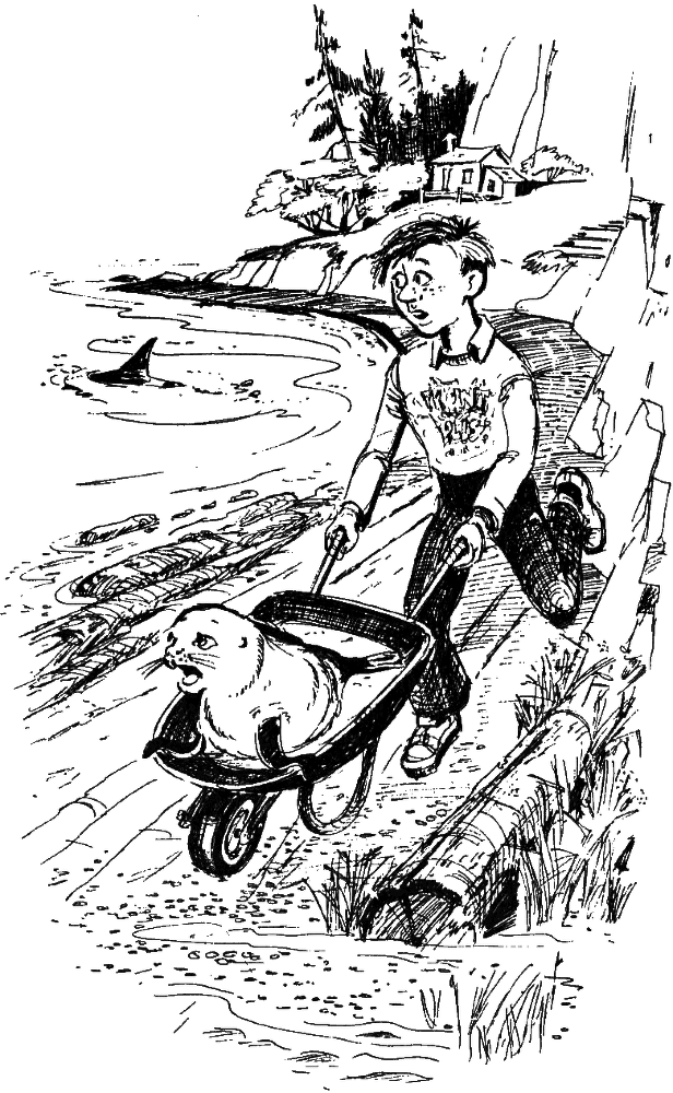 Морскому льву здесь не место - i_008.png